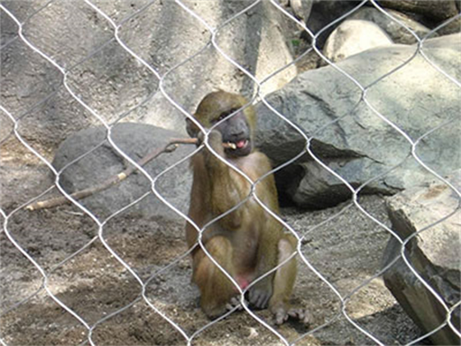 Protezione degli animali dello zoo mesh_ap05